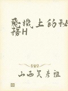 飞机上的秘密服务H封面