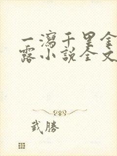 一泻千里金银花露小说全文免费阅读