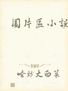 图片区小说区封面