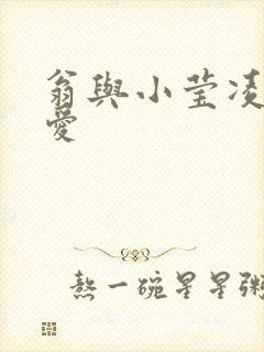 翁与小莹凌晨欢爱封面