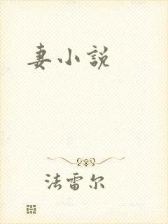 妻小说
