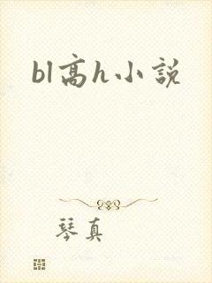 bl高h小说