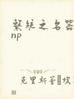 系统之名器攻略np