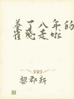 养了八年的金丝雀飞走啦