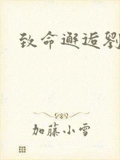 致命邂逅刘小寐