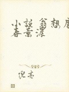 小说 翁想房中春意浓