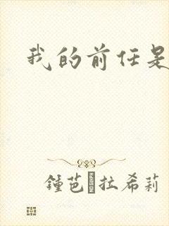 我的前任是极品