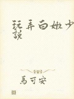 玩弄白嫩少妇小说封面