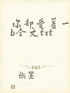 你却爱着一个sb全文txt封面