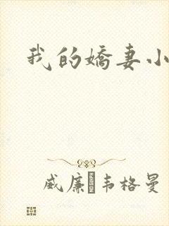 我的娇妻小说