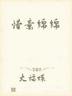 惜意绵绵封面