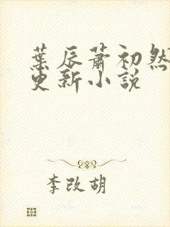 叶辰萧初然免费更新小说