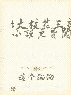 t大校花三部曲小说免费阅读全文