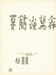 罗铮小说全文免费阅读无弹窗封面