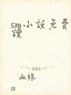 sm小说免费阅读