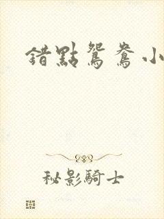 错点鸳鸯小说