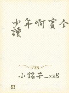 少年啊宾全文阅读封面