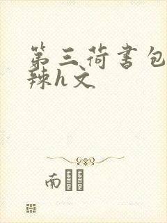 第三荷书包网高辣h文
