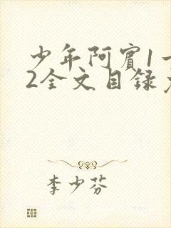 少年阿宾1一72全文目录免费下载