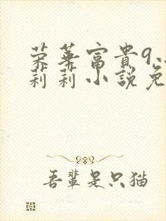 荣华富贵9小王莉莉小说免费阅读