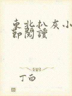 东北扒灰小说分节阅读封面