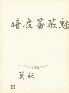 暗夜蔷薇魅封面