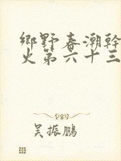 乡野春潮干柴烈火第六十三章