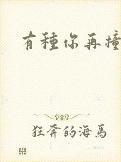 有种你再撞一下