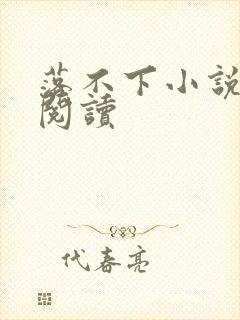 落不下小说免费阅读