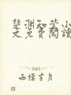 楚渊知莹小说全文免费阅读