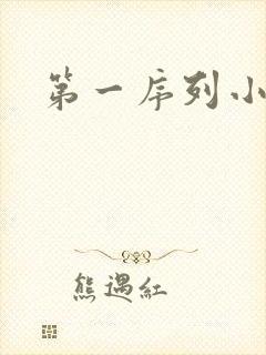 第一序列小说封面