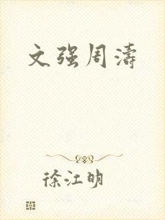 文强周涛封面