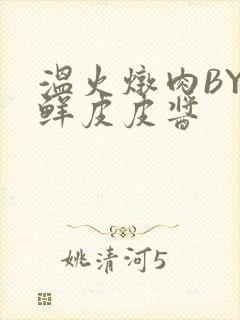 温火炖肉BY海鲜皮皮酱