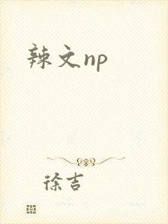 辣文np封面