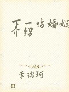 下一站婚姻剧情介绍