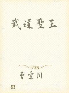 武道圣王