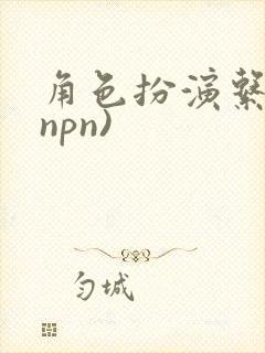 角色扮演系统(npn)