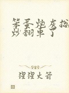 笨蛋炮灰总被爆炒翻车了