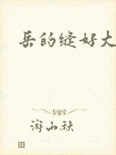 岳的缝好大封面