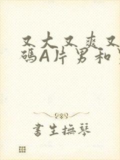 又大又爽又黄无码A片男和男封面