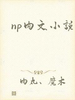 np肉文小说