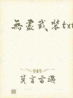 无尽武装txt