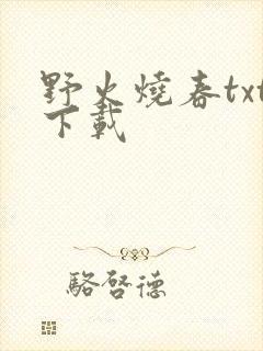 野火烧春txt下载
