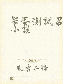 笨蛋测试召唤兽小说