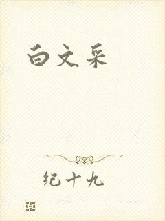 白文采