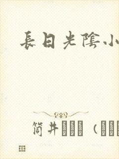 长日光阴小说
