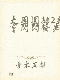 大团圆结2亲情会闪闪发光亲情会2