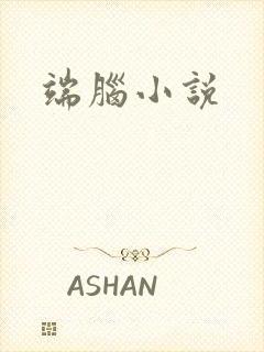 端脑小说封面