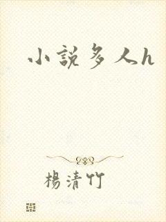 小说多人h