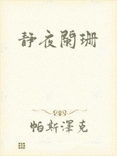 静夜阑珊